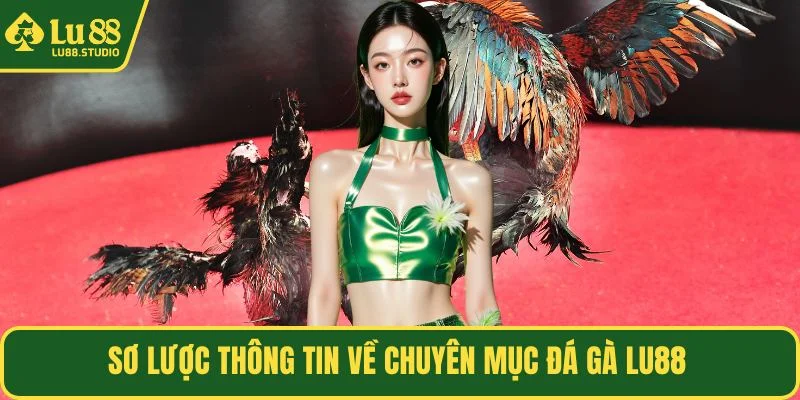 Sơ lược thông tin về chuyên mục đá gà LU88 
