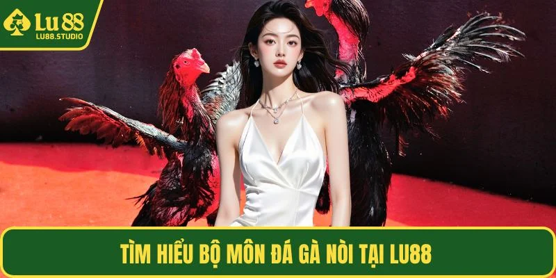 Tìm hiểu bộ môn đá gà nòi tại LU88 
